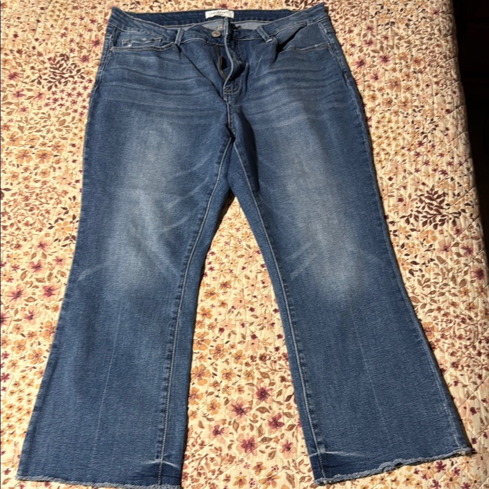 Lovervet by Vervet ankle jeans